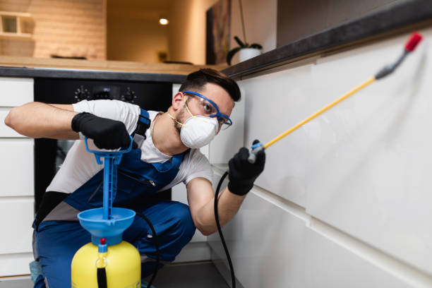Flea Control Services in West Portsmouth, OH