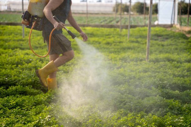 Best Residential Pest Control  in West Portsmouth, OH