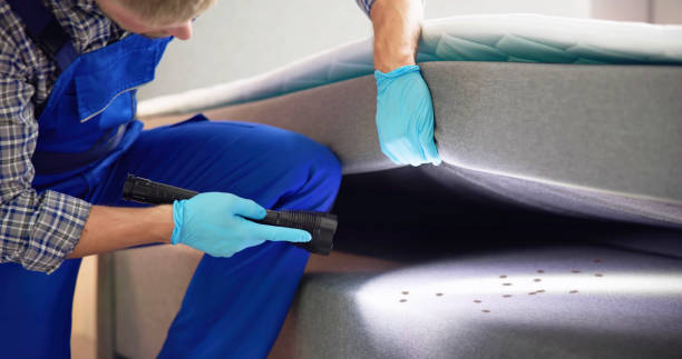 Reliable West Portsmouth, OH Pest Control Solutions