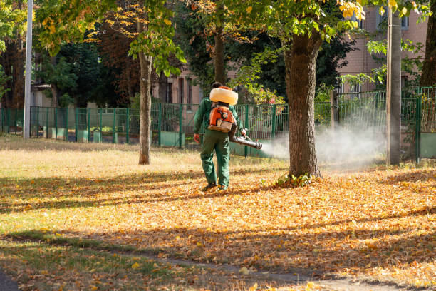 Best Best Pest Control Companies  in West Portsmouth, OH