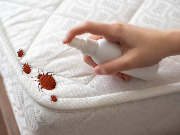Best Pest Removal Services  in West Portsmouth, OH