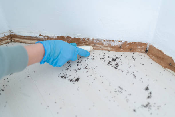 Best Best Pest Control Companies  in West Portsmouth, OH