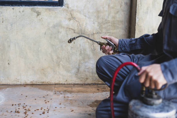 Best Local Pest Control Services  in West Portsmouth, OH